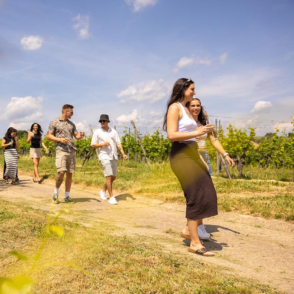 Weinwanderung am Fasanenhof - Weinwanderung - Mainz-Ebersheim Weinwanderung am Fasanenhof - Weinwanderung - in Mainz-Ebersheim - Funzeln