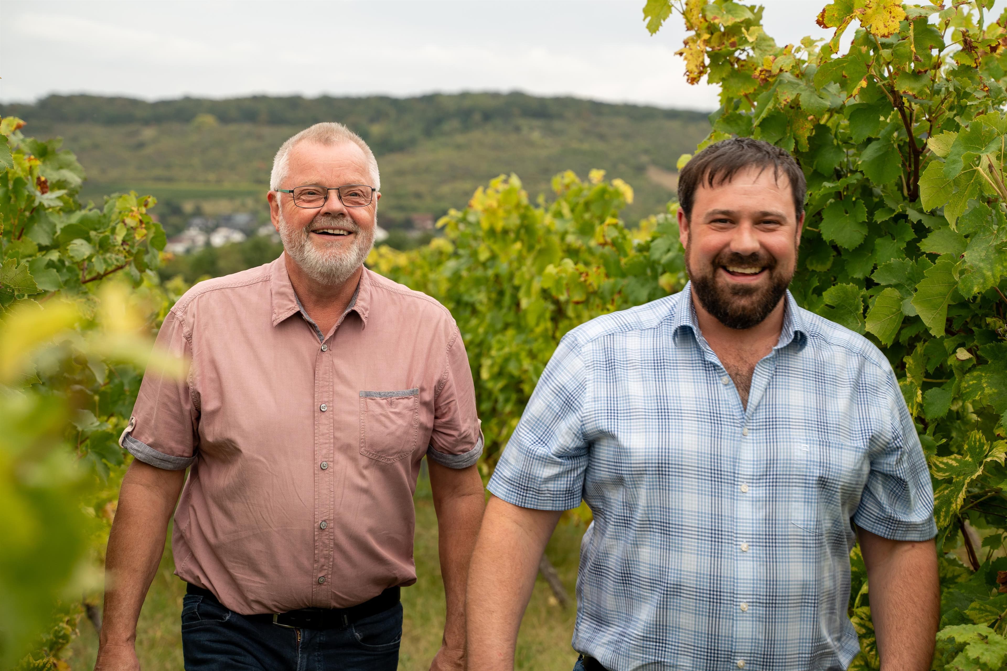 Weinbergwanderung mit Picknick-Stop - Weinwanderung - Ebersheim Weinbergwanderung mit Picknick-Stop - Weinwanderung - in Ebersheim - Funzeln